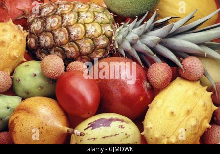 Stammarten Obst Obst Stockfoto