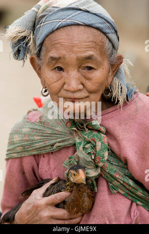 Asien-Porträt-Huhn Stockfoto