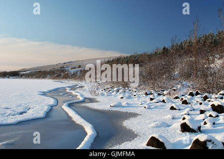 Winterschnee Stockfoto