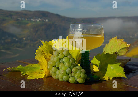 Glas Wein Kelch Stockfoto
