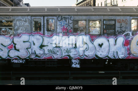 Illegale Graffiti an einer u-Bahn-Wagen in New York City. Das Wandbild wurde von der u-Bahn-Künstler namens Freiheit (Chris Pape) durchgeführt. Stockfoto