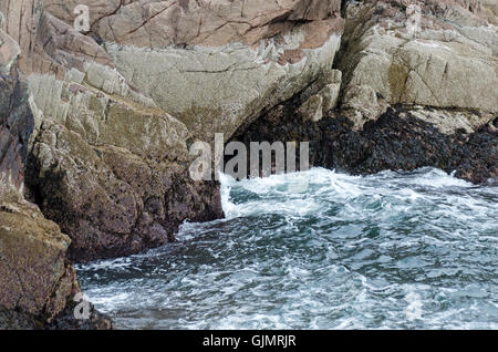 Bands von Seepocken und Rockweed umgeben eine Meereshöhle in Klippen, Mount Desert Island, Maine. Stockfoto