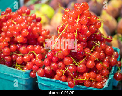 Rote Johannisbeeren (rote Johannisbeeren) zum Verkauf an Granville Island Public Market in Vancouver, British Columbia, Kanada. Stockfoto