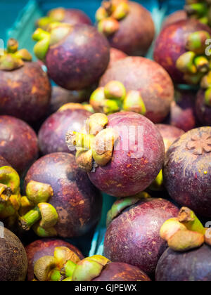 Lila Mangostanfrüchte zum Verkauf auf Granville Island Public Market in Vancouver, British Columbia, Kanada. Stockfoto