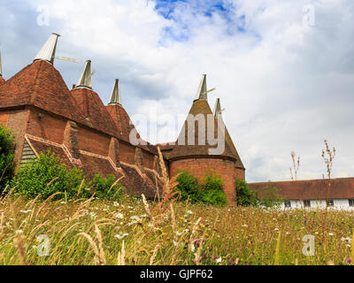 Traditionellen Kentish Oast House, auch genannt Hop Brennofen auf Sissinghurst Castle Estate, Kent, England Stockfoto