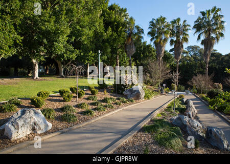 Dies ist ein Wanderweg im Nurragingy Reserve Blacktown. Stockfoto