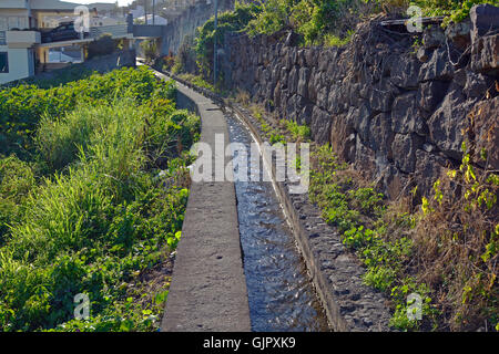 Levada Bewässerungskanal mit vergangenen Fußweg befindet sich am Stadtrand von Funchal, Madeira, Portugal Stockfoto