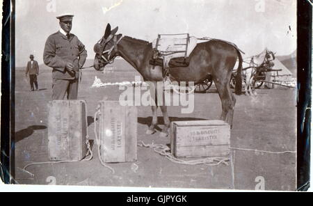 AJAXNETPHOTO. 1901. WILLOWMORE, CAPE MIDLANDS, SÜDAFRIKA. HOLZKISTEN MIT 10LB KEKSKANISTERN WARTEN AUF DIE BELADUNG AUF EINEM SPEZIELLEN RACK AUF EINEM MAULTIER. KEKSDOSEN WURDEN VERWENDET, UM PERIMETERVERTEIDIGUNGEN GEGEN ZULU-ANGRIFFE IN DER SCHLACHT VON RORKES DRIFT 1879 ZU ERRICHTEN. FOTOGRAF:UNBEKANNT © DIGITALES BILD COPYRIGHT AJAX VINTAGE PICTURE LIBRARY QUELLE: AJAX VINTAGE PICTURE LIBRARY COLLECTION REF:CAN 1901 Stockfoto