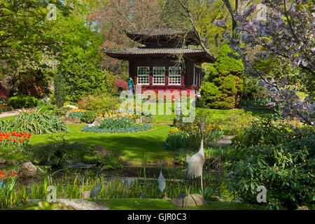 Deutschland, NRW, Leverkusen, Japanischer Garten in der Carl-Duisberg-Parkanlage Stockfoto