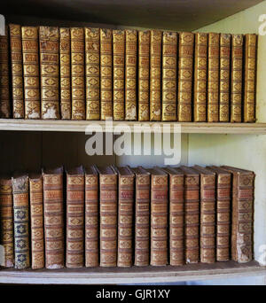 MAFRA, PORTUGAL - 17. Juli 2016: Alte Bücher in der Bibliothek des Palastes von Mafra, Portugal Stockfoto