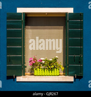 Dunkelgrüne, teilweise geöffnete Fensterläden an einer dunkelblau gerenderten Außenwand des traditionellen Hauses auf der Insel Burano. Italien. Stockfoto