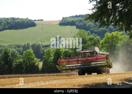 Weizen wird in der Nähe von Aldbourne in Wiltshire während eines längeren sonnigen Zaubers geerntet. UK Stockfoto