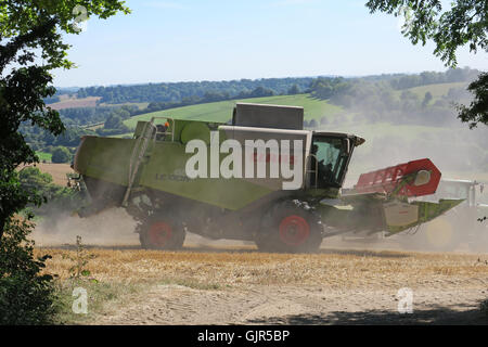 Weizen wird in der Nähe von Aldbourne in Wiltshire während eines längeren sonnigen Zaubers geerntet. UK Stockfoto