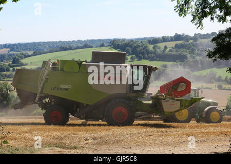 Weizen wird in der Nähe von Aldbourne in Wiltshire während eines längeren sonnigen Zaubers geerntet. UK Stockfoto