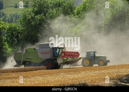 Weizen wird in der Nähe von Aldbourne in Wiltshire während eines längeren sonnigen Zaubers geerntet. UK Stockfoto