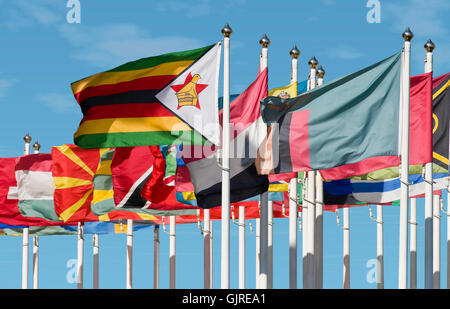 Flagge der Vereinten Nationen Stockfoto