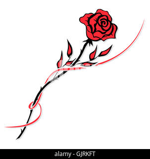 rose Blume Pflanze Stockfoto