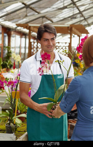 Frau Blume Pflanze Stockfoto