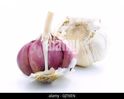 Knoblauch-Vampir antibakterielle Stockfoto