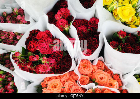 beauteously schön zu präsentieren Stockfoto