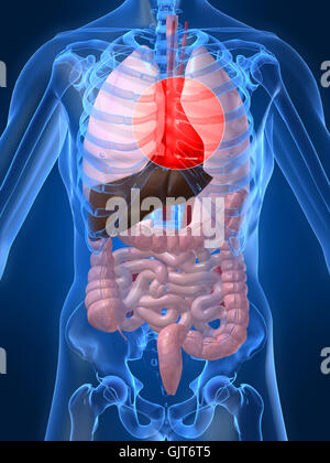 medizinisch medizinische Gesundheit Stockfoto