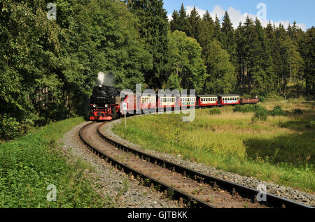 Sonderfahrt im harz Stockfoto