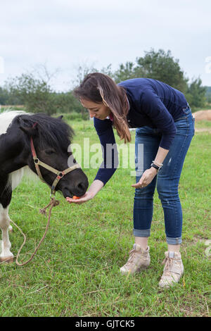 Junge Frau, die Fütterung von kleinen Pony Karotte Stockfoto