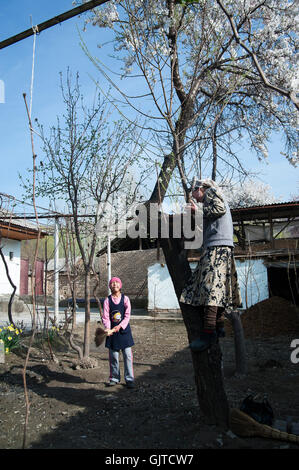 Jalabat, Kirgisistan: Kinder spielen in der Natur in einem Dorf. Stockfoto