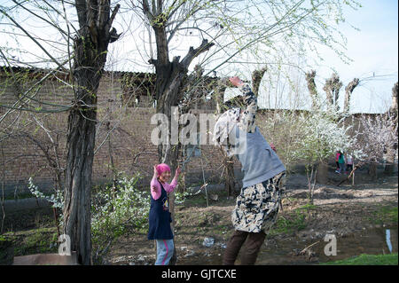 Jalabat, Kirgisistan: Kinder spielen in der Natur in einem Dorf. Stockfoto