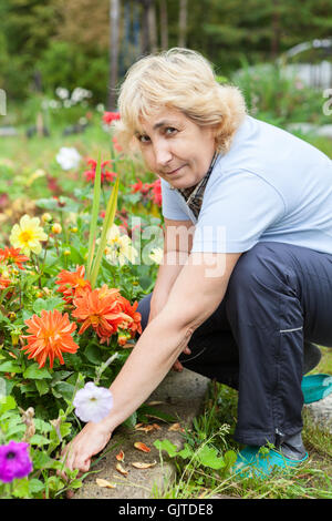 Mittleren Alters kaukasischen Gärtner kümmert sich für orange Dahlia Blumen in ihrem Garten Küche Stockfoto