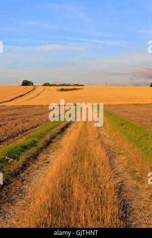 Feldweg in der Lincolnshire Wolds Stockfoto