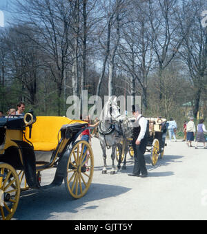 München, 1985. Schwabing. Kutschen Im Englischen Garten. München, 1985. Stadtteil Schwabing. Wagen im englischen Garten. Stockfoto