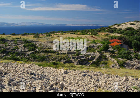 Trockenmauern Stara Baska - trockene Stein Wand Stara Baska 11 Stockfoto