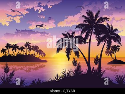 Tropische Inseln, Palmen, Himmel und Vögel Stock Vektor