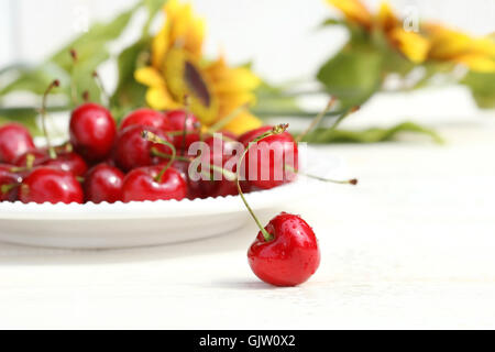 Lebensmittel-Nahrungsmittel-Objekt Stockfoto