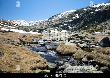 Snow Koks Kokain Stockfoto