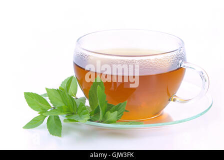 Pfefferminz-Tee - Tee Pfefferminze 10 Stockfoto
