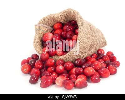 Preiselbeeren Stockfoto