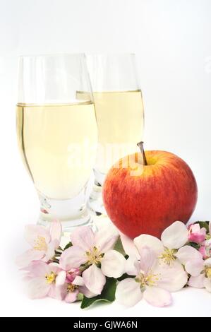 isolierte Blüte Blüte Stockfoto