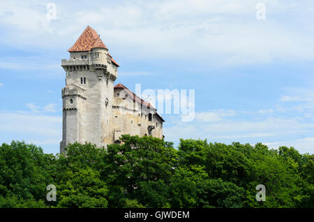 Maria Enzersdorf: Burg Liechtenstein, Österreich, Niederösterreich, Niederösterreich, Wienerwald, Wienerwald Stockfoto