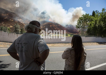 San Bernardino, Kalifornien, USA. 17. August 2016. Bewohner auf Lyle Creek Road ansehen Blue Fire schneiden macht seinen Weg in Richtung ihrer Heimat Mittwoch. Das blaue Schneiden Feuer hat eine unbekannte Anzahl von Häusern zerstört. Mehr als 1.300 Feuerwehrleute und andere Einsatzkräfte kämpfen das Feuer Blau schneiden die frühen Dienstag 60 Meilen östlich von Los Angeles begonnen. Bildnachweis: Kevin warnen/ZUMA Draht/Alamy Live-Nachrichten Stockfoto