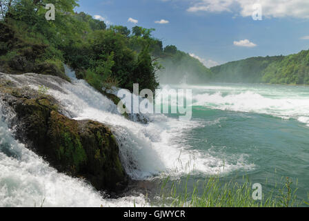 Rheinfall-Schweiz Stockfoto