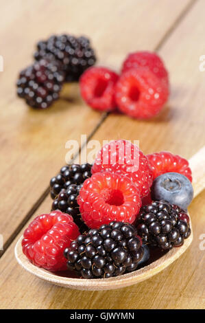 Früchte Beeren Brombeeren Stockfoto