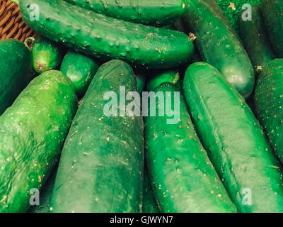 Grüne Gurken in einer box Stockfoto