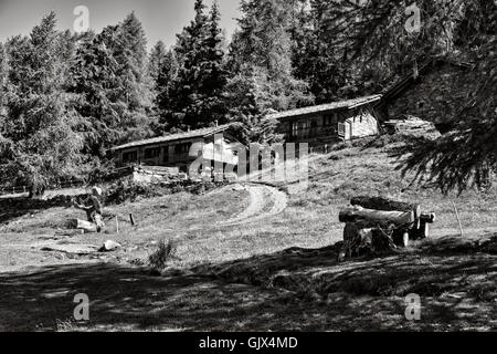 Zwei Kabinen mit haufenweise Schnitt meldet sich unter Bäumen am Vorgebirge in Italien in schwarz / weiß Stockfoto