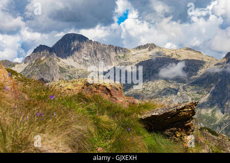 Blick auf den Gipfel der Cima d'Asta. Trentino. Italienische Alpen. Europa. Stockfoto