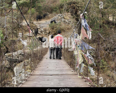 Zwei nepalesischen Jungs kümmern sich um ihr Vieh auf eine Hängebrücke in der Nähe von Phakding, Nepal Stockfoto