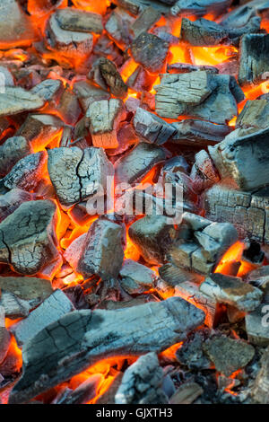 Verbrennung von Kohle. Im Kamin schwelende Glut Stockfoto