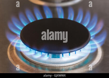 Nahaufnahme des blauen Flammen aus Erdgas Element auf Küchenherd Kochen Stockfoto