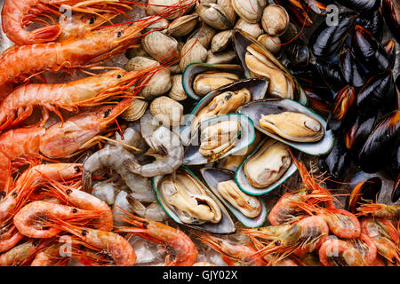 Rohe frische Meeresfrüchte Cocktail hautnah mit Miesmuscheln, Venusmuscheln, Vongole, Garnelen und Krabben Stockfoto